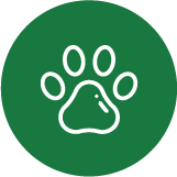 Dog walkers and handlers in London that are recommended by vets