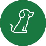 Experienced dog walkers and handlers in London